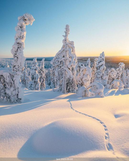 Levi Slalombacke Kittilä Norra Finland Skidort